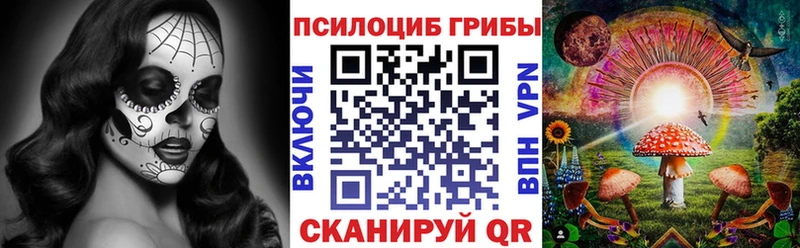 Псилоцибиновые грибы Magic Shrooms  сколько стоит  Ильский 